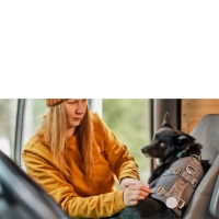 Bezpečnost psa v autě