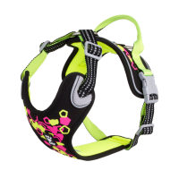 Postroj Weekend Warrior Neon II