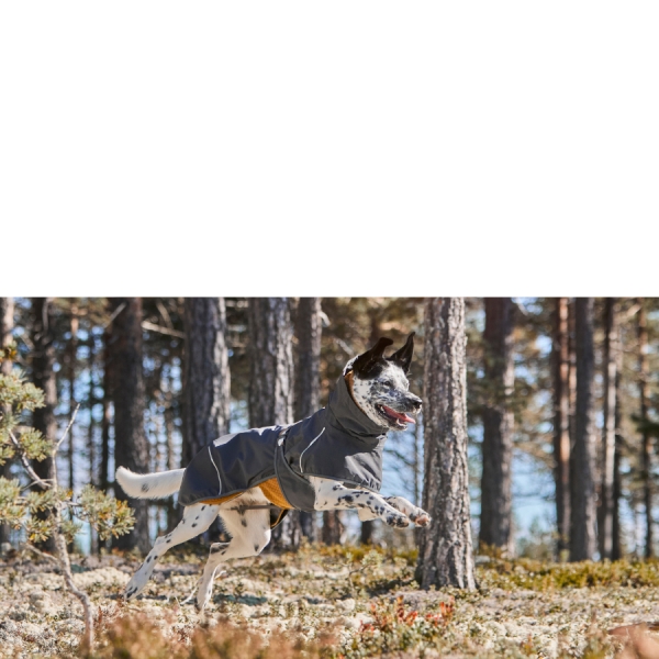 Péče o svaly